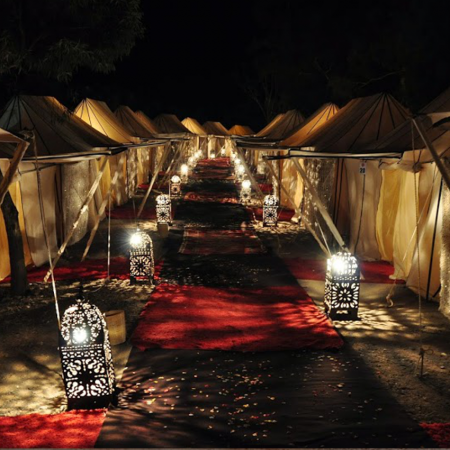 Tented night in Marrakech palm grove under the stars