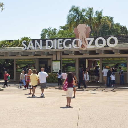 The world famous San Diego Zoo and Safari Park offer amazing experiences for the animal lover in you.