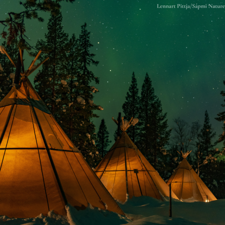 Visit north of Sweden on a crispy cold winter night and be mesmerized by the dance of Northern Lights 