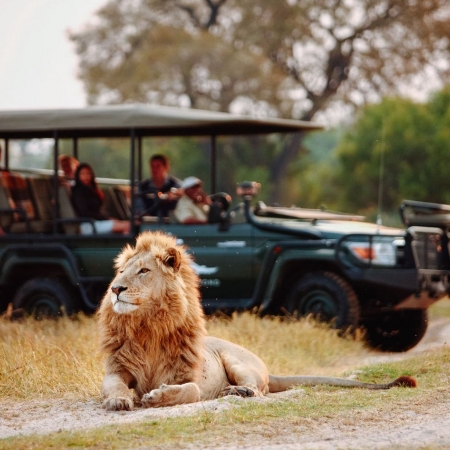 Safari Drive through Chobe National Park