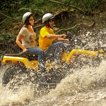 ATV Tour: Ultimate adventure, adrenaline rush like none other! Ride along the rainforest outlined tracks through our farmland.