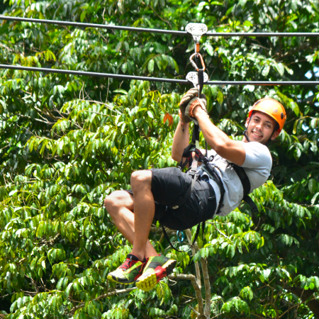 Canopy Tour:  Exhilarating adventure to offer unique views! Soar over lush rainforest terrain suspended high above the floor.