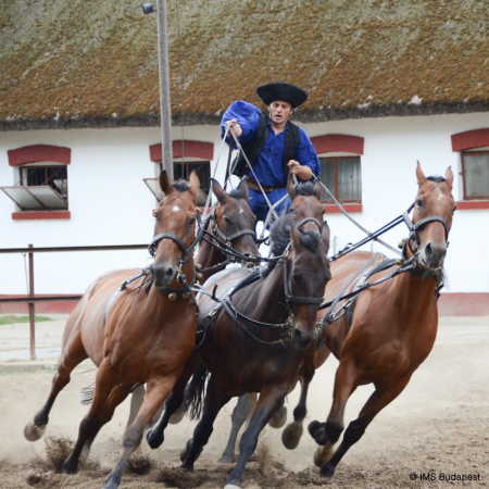 Country side Puszta experience with horse shows and nostalgic train transfer