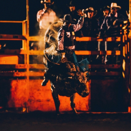 Experience the Rodeo