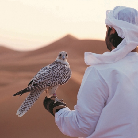 Experience the beauty within the Arabian desert; camel riding, desert camps, falconry, dune bashing and great opportunities for team building.