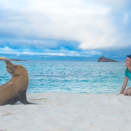 The abundant wildlife found in the Galapagos Islands must be experienced in everyone's lifetime. Walk closely among sea lions, giant tortoises, and even penguins in the same destination!