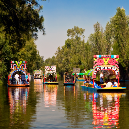 Xochimilco, besides being famous for its canals and trajinera boats, has one of the most traditional nurseries in the city. The name of this area in Mexico City is a “Place for the sowing of flowers” or “Field of flowers”
