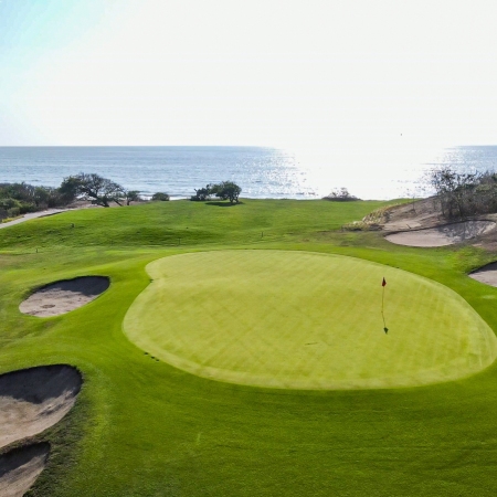 Championship Golf courses: If you are “mad about golf” you came to the right place. In Puerto Vallarta and Riviera Nayarit, there are a total of 9 golf courses of the highest standards. You can play by the ocean, in the mountains, or with the jungle around you and crocodiles in the lakes! 
